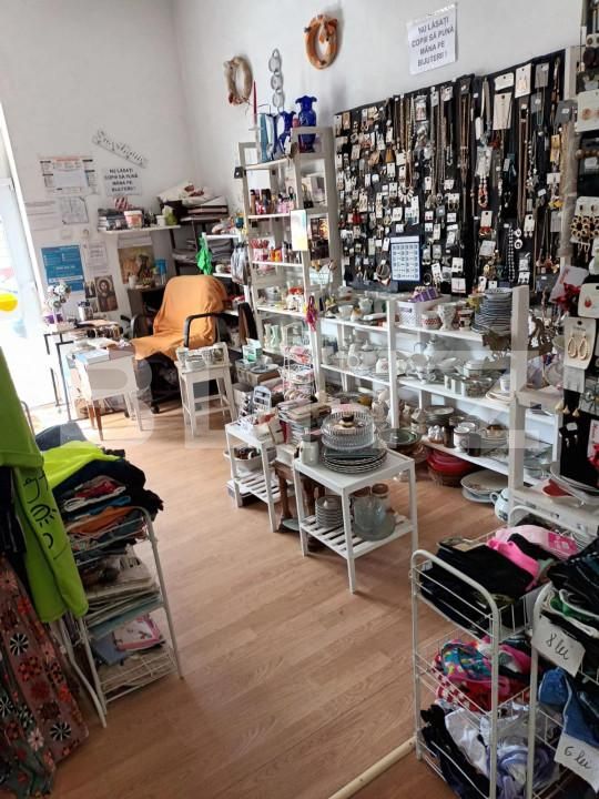 Casa de vânzare 6 camere Lipovei - 140153CV | BLITZ Timișoara | Poza12