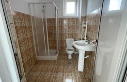 Casa 14 camere, 500mp, Blascovici-Mehala