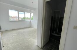 Casa 14 camere, 500mp, Blascovici-Mehala