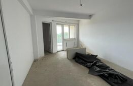 Casa 14 camere, 500mp, Blascovici-Mehala