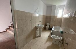 Casa 14 camere, 500mp, Blascovici-Mehala