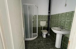 Casa 14 camere, 500mp, Blascovici-Mehala