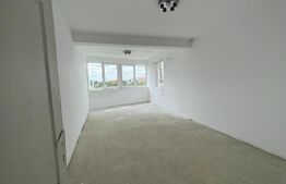 Casa 14 camere, 500mp, Blascovici-Mehala