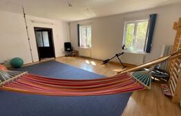 Casa de Vanzare, zona Olimpia-Stadion Timisoara cu potențial pentru locuit si afaceri