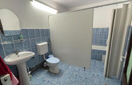 Casa de Vanzare, zona Olimpia-Stadion Timisoara cu potențial pentru locuit si afaceri