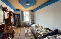 Casa de Vanzare, zona Olimpia-Stadion Timisoara cu potențial pentru locuit si afaceri