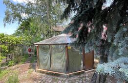 Casa cu 6 camere, 180 mp, teren de 854 mp, Elisabetin, usor negociabil