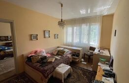 Casa cu 6 camere, 180 mp, teren de 854 mp, Elisabetin, usor negociabil