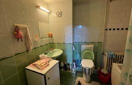 Casa cu 6 camere, 180 mp, teren de 854 mp, Elisabetin, usor negociabil