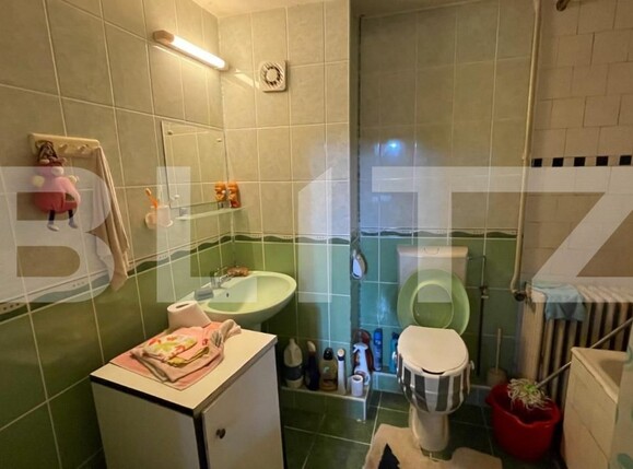 Casa de vânzare 6 camere Elisabetin - 140157CV | BLITZ Timișoara | Poza3