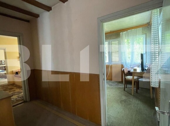 Casa de vânzare 6 camere Elisabetin - 140157CV | BLITZ Timișoara | Poza12