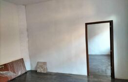 Casa la curte comuna, 46 mp utili, Badea Cartan!