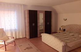 Casa individuala 360 mp, 980 mp teren, zona Cetatii 