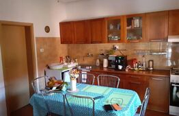 Casa individuala 360 mp, 980 mp teren, zona Cetatii 