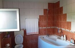 Casa individuala 360 mp, 980 mp teren, zona Cetatii 