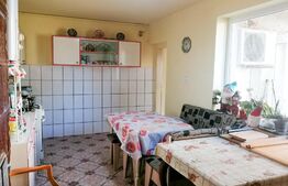 Casa individuala parter, 3 camere, 80mp, teren 453 mp, zona Buziasului