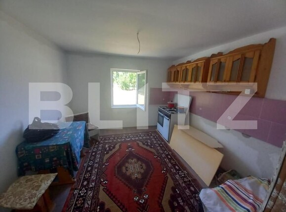 Casa de vânzare 4 camere Exterior Nord - 140167CV | BLITZ Timișoara | Poza10