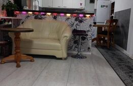 Casa individuala 7 camere, Su = 400mp, St = 1500mp, Varias