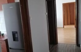 Apartament 3 camere, 55 mp, etaj intermediar, Sagului