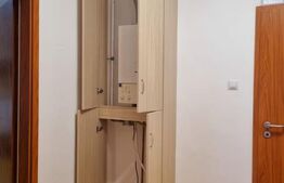 Locatie centrala, zona Balcescu, case insiruite cu intrare separata