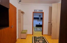 Locatie centrala, zona Balcescu, case insiruite cu intrare separata