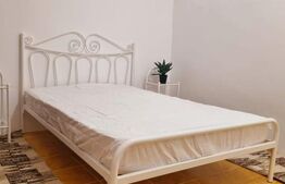 Locatie centrala, zona Balcescu, case insiruite cu intrare separata