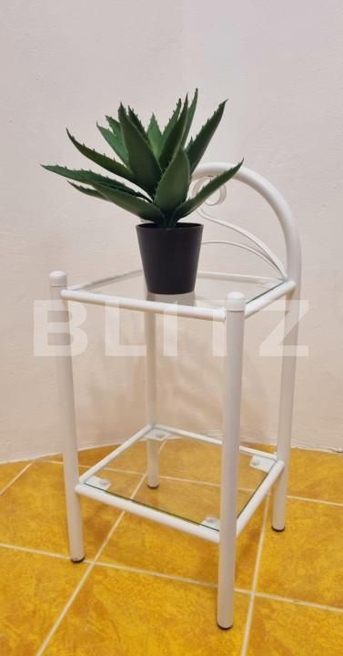 Casa de vânzare 2 camere Balcescu - 140176CV | BLITZ Timișoara | Poza6