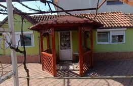 Oportunitate de investitie! Casa cu 5 apartamente, Calea Bogdanestilor