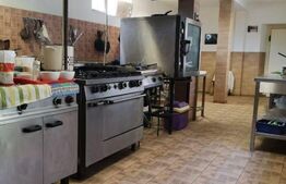 Investitie! Pensiune, 14 camere, 1373 mp utili, teren 1456 mp, 