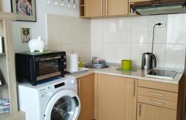 Apartament 1 camera, complet renovat, zona Fratelia