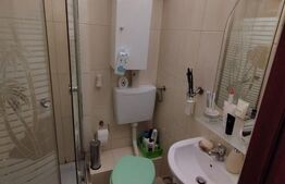 Apartament 1 camera, complet renovat, zona Fratelia