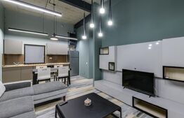 Apartament PREMIUM tip studio, design industrial, la cheie, zona centrala