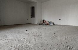 Casa 5 camere, semifinisata, 497mp teren, Becicherecu Mic,