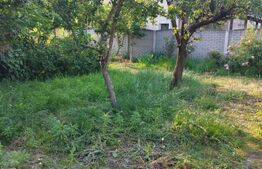 Casa individuala cu teren 508mp, zona Piata Doina