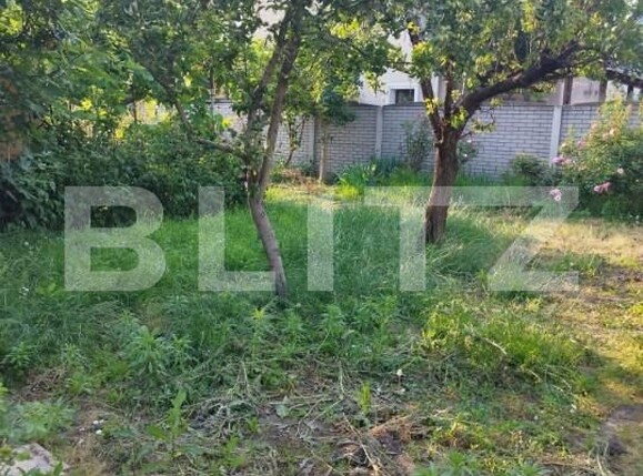 Casa de vânzare 6 camere Sagului - 140217CV | BLITZ Timișoara | Poza3