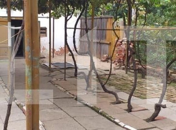 Casa de vânzare 3 camere Dambovita - 140218CV | BLITZ Timișoara | Poza3