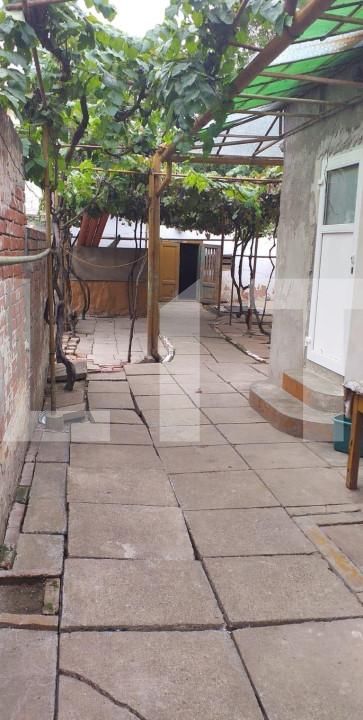 Casa de vânzare 3 camere Dambovita - 140218CV | BLITZ Timișoara | Poza9