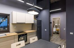 Apartament PREMIUM, design industrial, la cheie, terasa, zona centrala