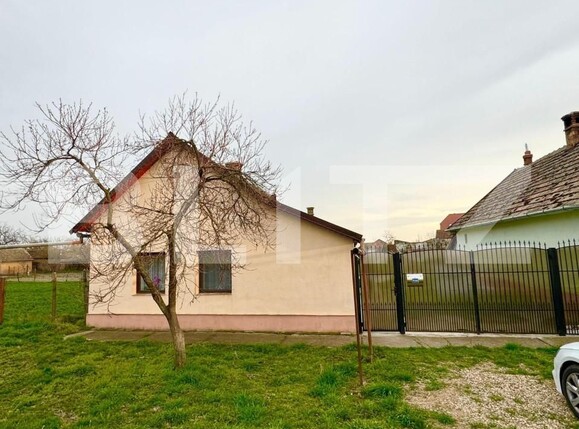 Casa de vânzare 3 camere Exterior Vest - 140232CV | BLITZ Timișoara | Poza7