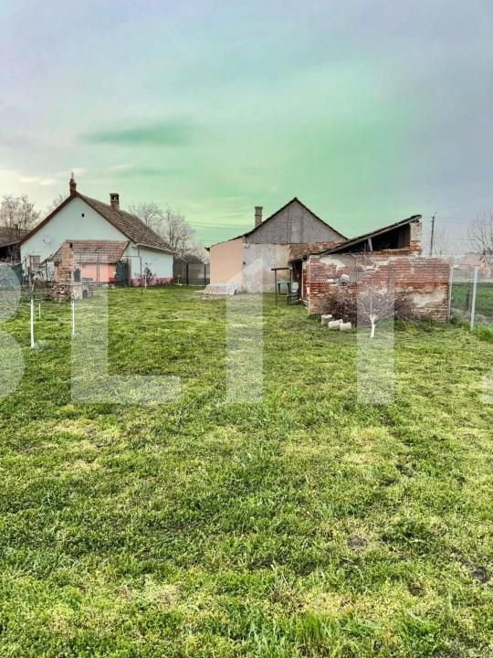 Casa de vânzare 3 camere Exterior Vest - 140232CV | BLITZ Timișoara | Poza15