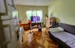 Apartament spatios 3 camere,decomandat, Calea Lipovei