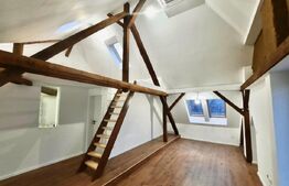 Penthouse deosebit, 4 camere, 2 bai, 100mp, zona centrala, Take Ionescu