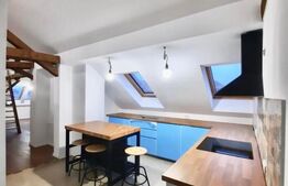 Penthouse deosebit, 4 camere, 2 bai, 100mp, zona centrala, Take Ionescu