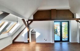 Penthouse deosebit, 4 camere, 2 bai, 100mp, zona centrala, Take Ionescu