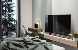 Apartament 2 camere, 46 mp, zona Torontalului