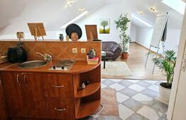 Apartament tip Penthouse, 194mp, 6 camere, zona Elisabetin