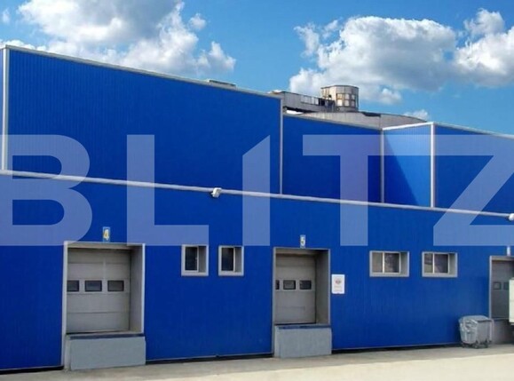 Spațiu industrial de vânzare Freidorf - 140281SVI | BLITZ Timișoara | Poza4