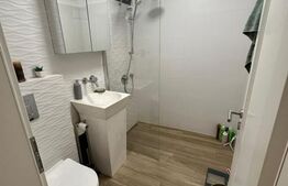 Casa individuala, 220 mp utili, 420 mp teren, Mures-Brancoveanu