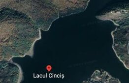 Padure de vanzare ,60000 Euro Negociabil , 20740 mp, langa Lacul Cincis!