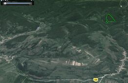 Padure matura de fag, 9 ha, Hunedoara